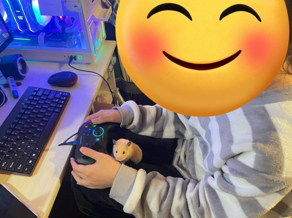 子どもとゲーム